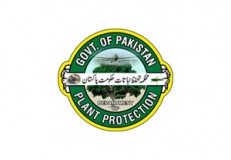 Govt. of Pakistan Plant Protection